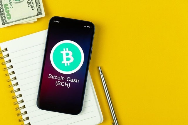 Photo symbole bitcoin cash bch