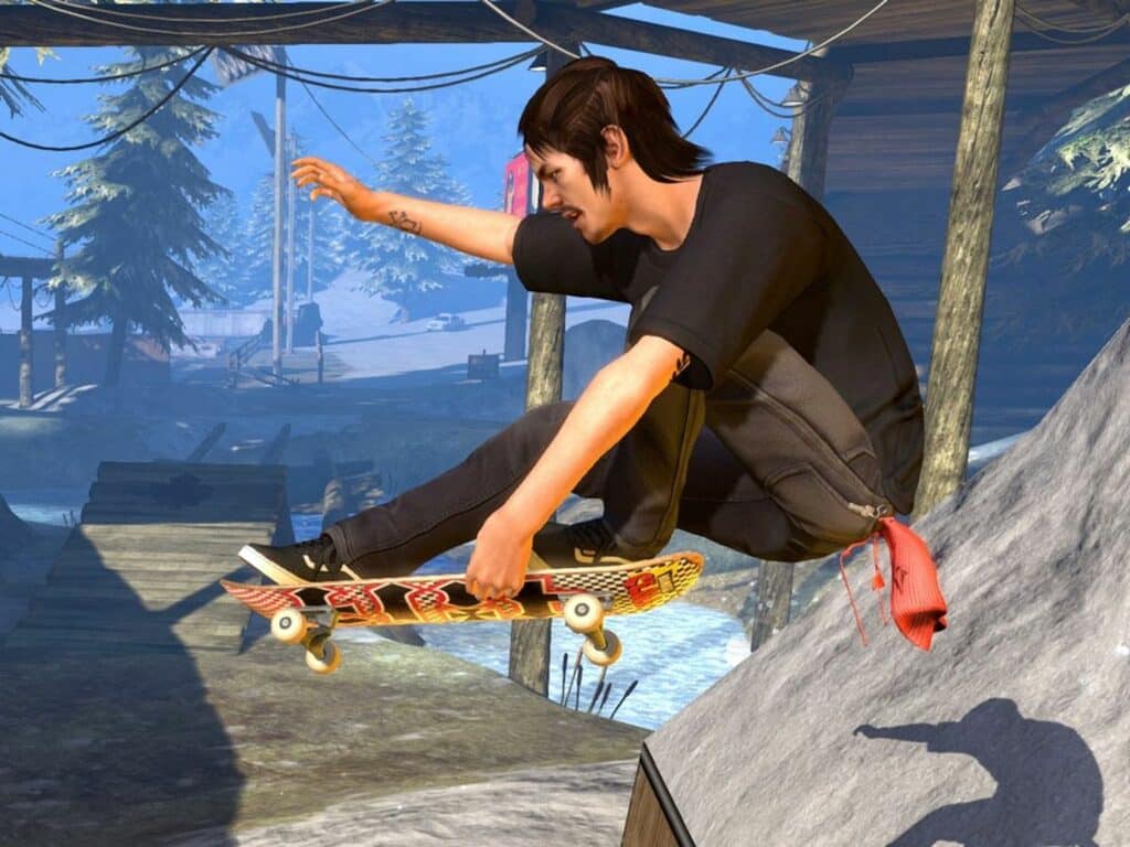 skateboard tony