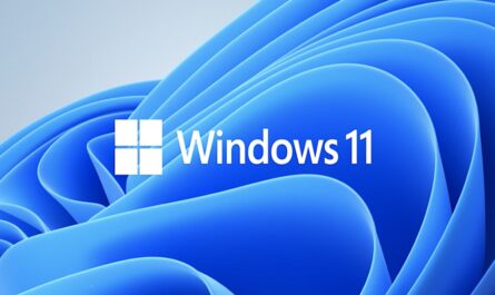 windows 11 update