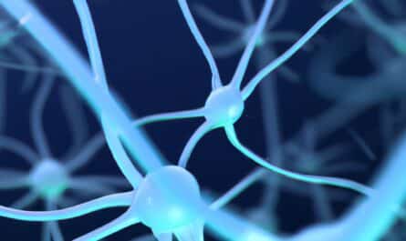 réseau neuronal
